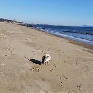 Meet your Posher, Mehrdad